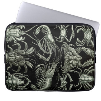 Vintage Haeckel Crustaceen Laptopschutzhülle
