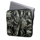 Vintage Haeckel-Crustations Laptopschutzhülle (Vorderseite Links)