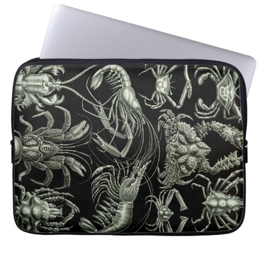 Vintage Haeckel-Crustations Laptopschutzhülle (Vorderseite)