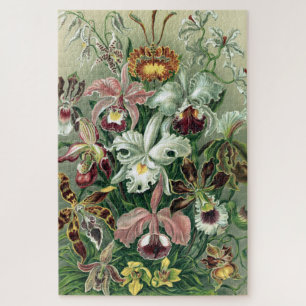 Vintage Haeckel Farbige Orchideen Lithographie Pos Puzzle