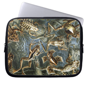 Vintage Haeckel Frösche Laptopschutzhülle
