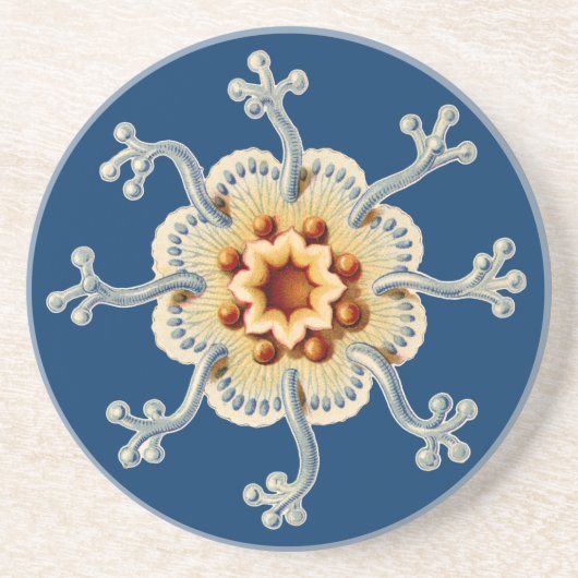 Vintage Haeckel Getränkeuntersetzer (Vorne)