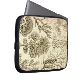 Vintage Haeckel Laptopschutzhülle (Vorne Rechts)