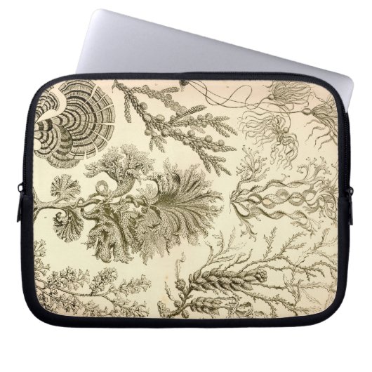 Vintage Haeckel Laptopschutzhülle (Vorderseite)