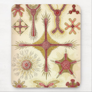 Vintage Haeckel Mousepad