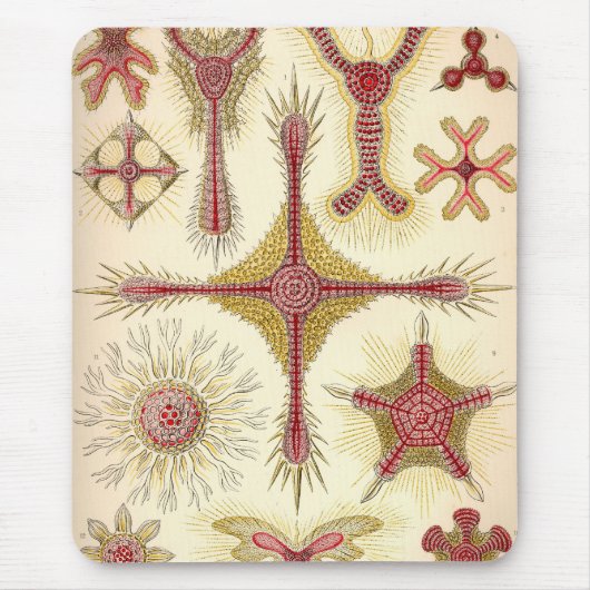 Vintage Haeckel Mousepad (Vorne)