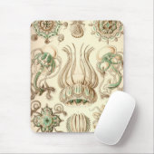 Vintage Haeckel Mousepad (Mit Mouse)