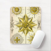 Vintage Haeckel Mousepad (Mit Mouse)