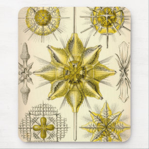Vintage Haeckel Mousepad