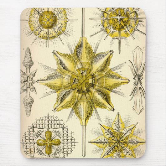 Vintage Haeckel Mousepad (Vorne)
