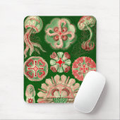 Vintage Haeckel Mousepad (Mit Mouse)