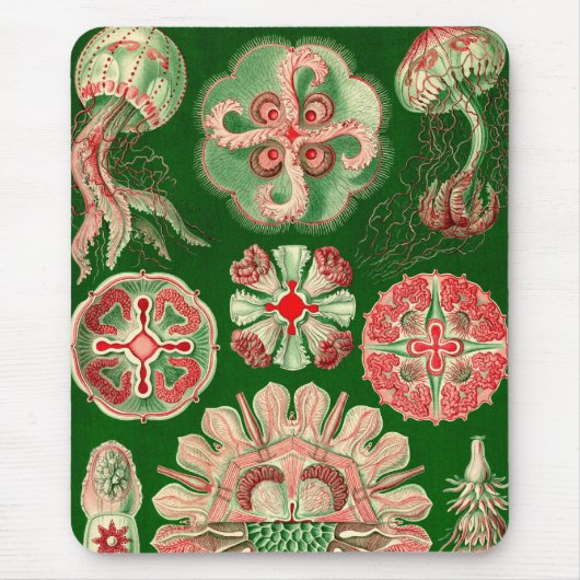 Vintage Haeckel Mousepad (Vorne)