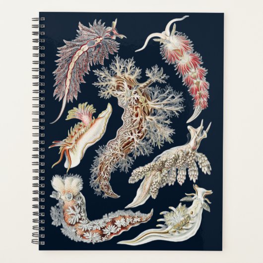 Vintage Haeckel Nudibranch Meereskunst Planer (Vorderseite)
