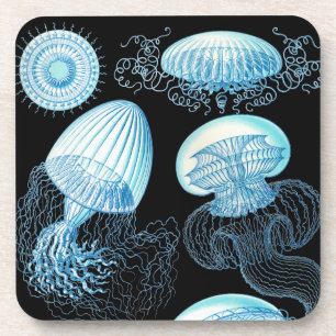 Vintage Haeckel Qualle Untersetzer