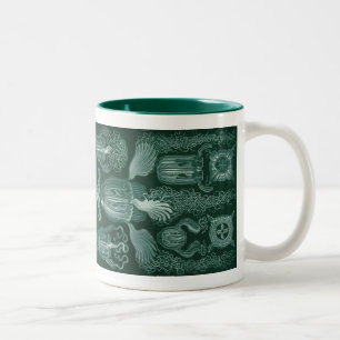 Vintage Haeckel Zweifarbige Tasse