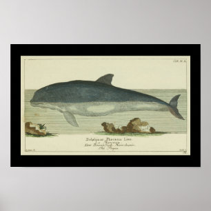 Vintage-Hafen-Schweinswal-Druck Poster
