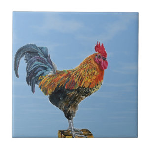 Vintage Hahn Himmel Anpassen Tier Huhn Fliese