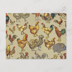 Vintage Hahn Hühner Muster: Farmhouse-Kunst Postkarte