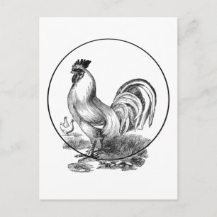 Vintage Hahn-Illustrationskarte Postkarte