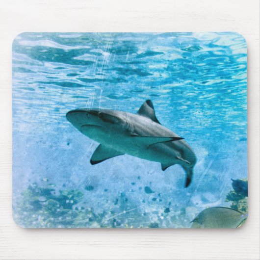 Vintage-Hai-Mauspad Mousepad (Vorne)
