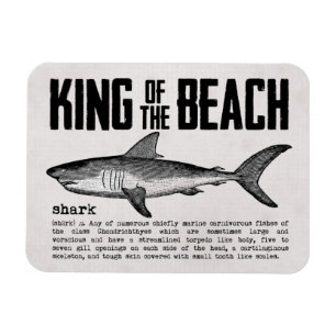 Vintage-Hai und Definition Strandkönig Magnet
