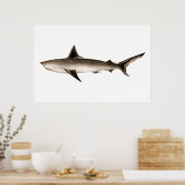 Vintage Haidarstellung - Vorlage für Retrohaie Poster (Küche)