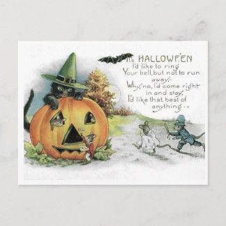 Vintage Halloween Black Cat Mice Mouse Postcard Postkarte