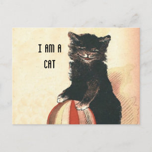 Vintage HALLOWEEN Black Cat Postkarte