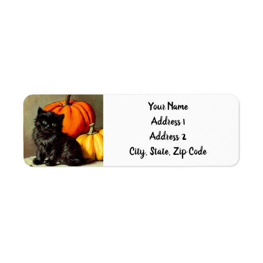 Vintage Halloween Black Cat und Pumpkins (Vorne)