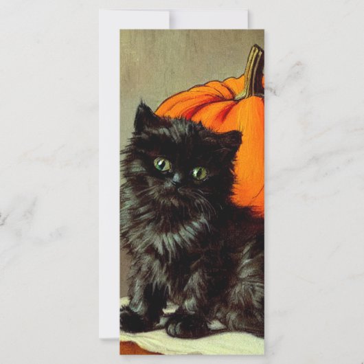 Vintage Halloween Black Cat und Pumpkins Card (Vorderseite)