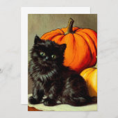 Vintage Halloween Black Cat und Pumpkins Einladung (Vorne/Hinten)
