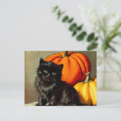 Vintage Halloween Black Cat und Pumpkins Postkarte (Stehend Vorderseite)