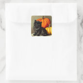 Vintage Halloween Black Cat und Pumpkins Quadratischer Aufkleber (Tasche)