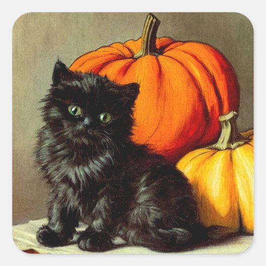 Vintage Halloween Black Cat und Pumpkins Quadratischer Aufkleber (Vorderseite)