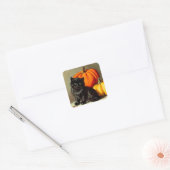 Vintage Halloween Black Cat und Pumpkins Quadratischer Aufkleber (Umschlag)