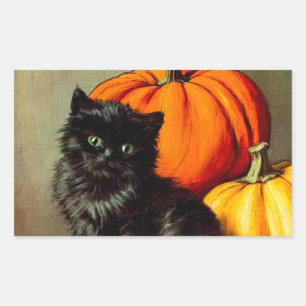 Vintage Halloween Black Cat und Pumpkins Rechteckiger Aufkleber
