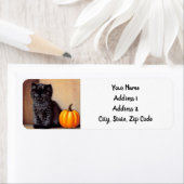 Vintage Halloween Black Kitten Illustration (Insitu)