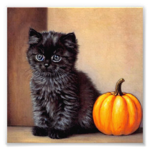 Vintage Halloween Black Kitten Illustration Fotodruck