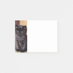 Vintage Halloween Black Kitten Illustration Post-it Klebezettel