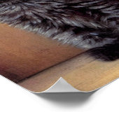 Vintage Halloween Black Kitten Illustration Poster (Ecke)