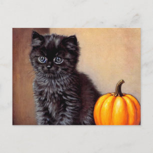 Vintage Halloween Black Kitten Illustration Postkarte