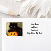 Vintage Halloween Cat and Jack-o’-Laterne (Insitu)