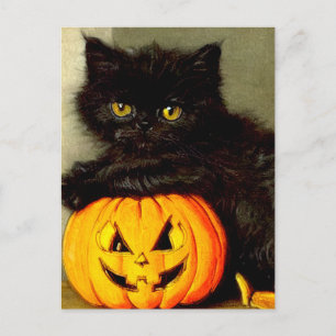 Vintage Halloween Cat and Jack-o’-Laterne Postkarte