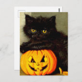 Vintage Halloween Cat and Jack-o’-Laterne Postkarte (Vorne/Hinten)