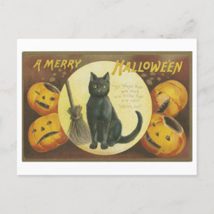 Vintage Halloween-Grüße mit Black Cat Postkarte