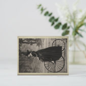 Vintage Halloween-Hexe auf einem Fahrrad Postkarte (Stehend Vorderseite)