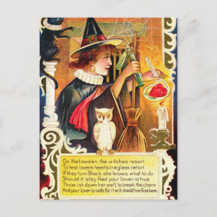Vintage-Halloween-Hexeneule-Feiertagspostkarte Feiertagspostkarte