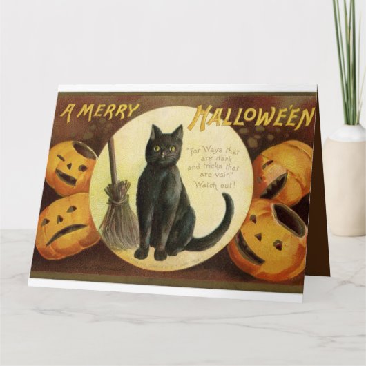 Vintage Halloween-Hexenkatze & Kürbiskins Karte (Vorderseite)