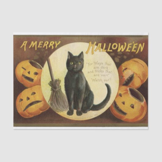 Vintage Halloween-Hexenkatze & Kürbiskins Seidenpapier (Vorderseite)
