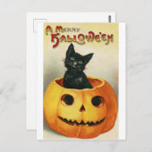 Vintage Halloween-Karte | Schwarze Katze in Pumpki Postkarte (Vorne/Hinten)